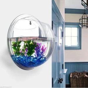 wall-mounted fish bowl