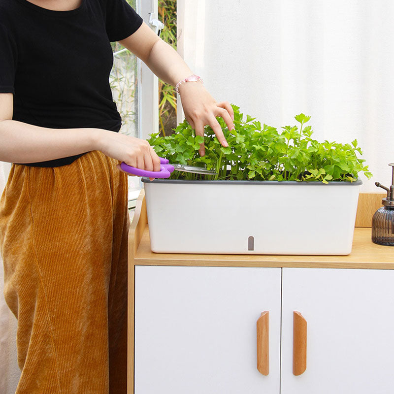 self-watering planter pot