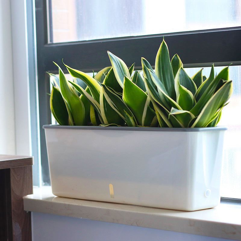 self-watering planter pot