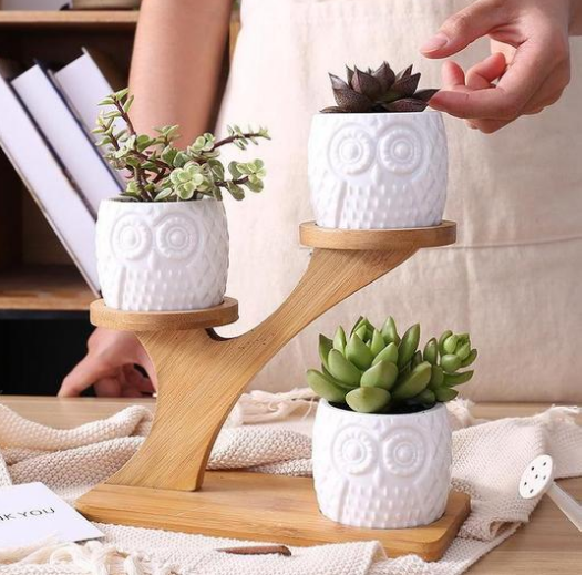 owl pots wooden tree