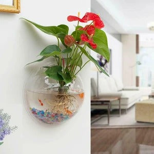 wall-mounted fish bowl