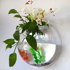 wall-mounted fish bowl