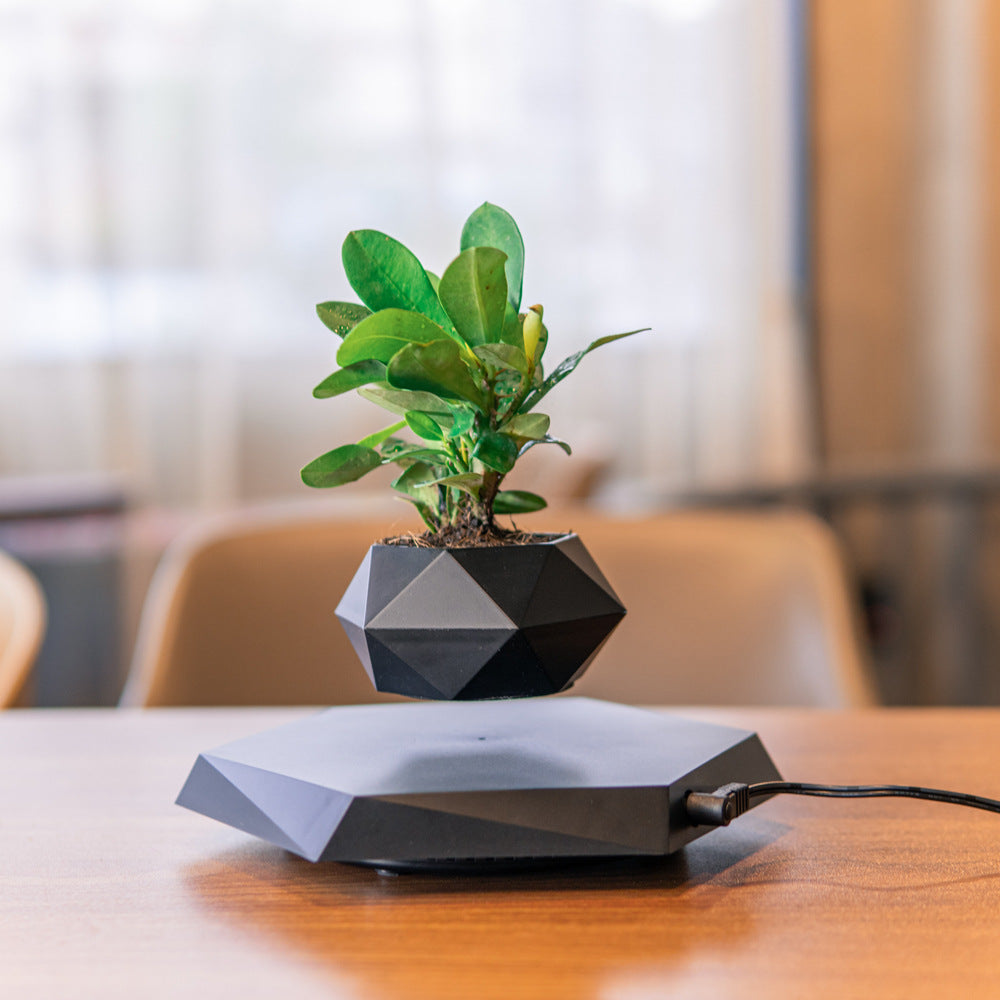 magnetic levitating flower pot