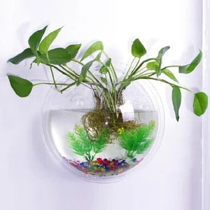 wall-mounted fish bowl