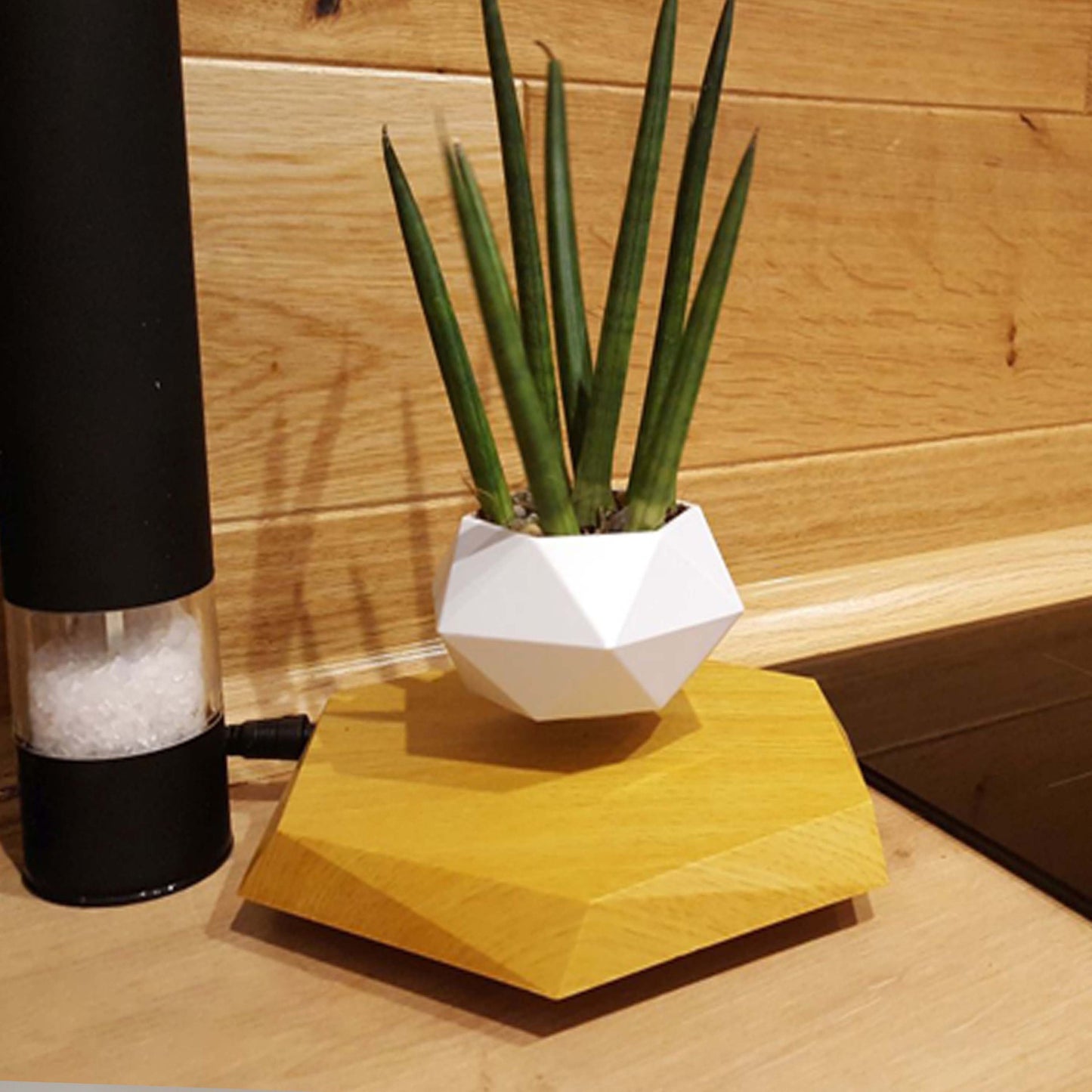 magnetic levitating flower pot