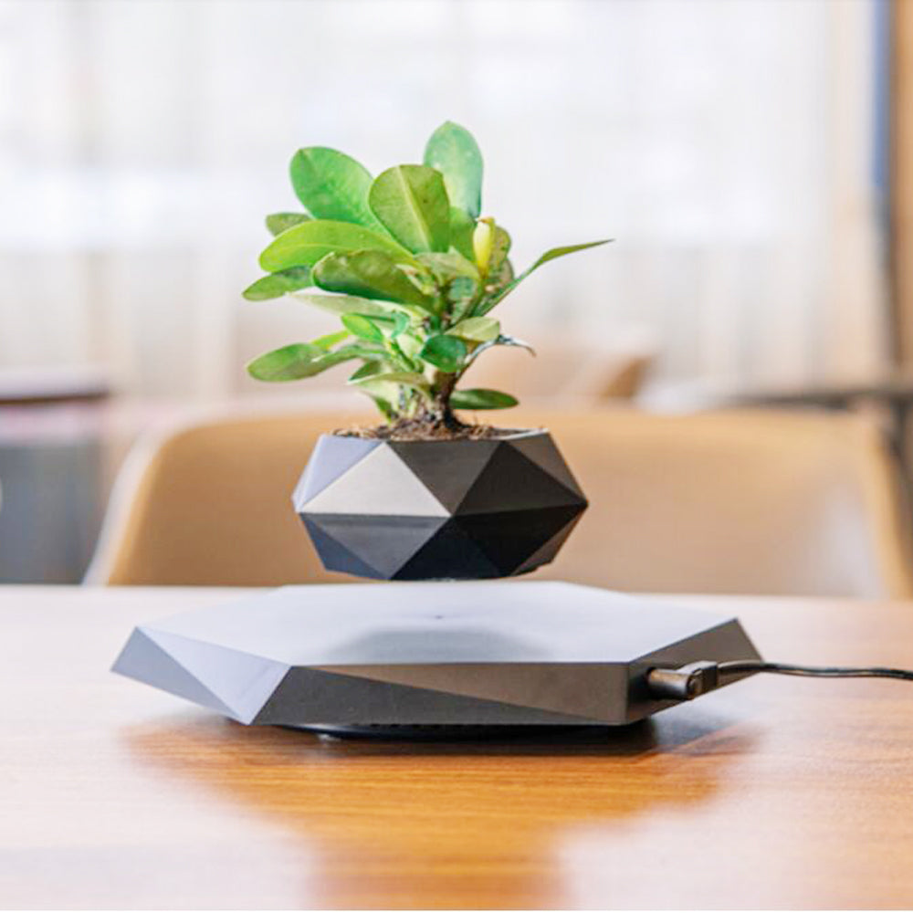 magnetic levitating flower pot