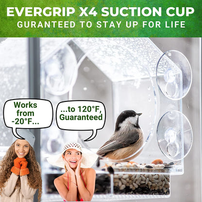 Nature Anywhere Clear Window Bird Feeder - Strong Suction Cups, Easy Fill and Clean