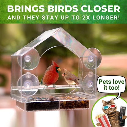 Nature Anywhere Clear Window Bird Feeder - Strong Suction Cups, Easy Fill and Clean