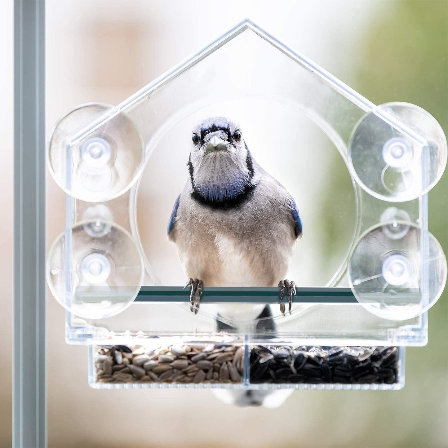 nature anywhere clear window bird feeder - strong suction cups, easy fill and clean