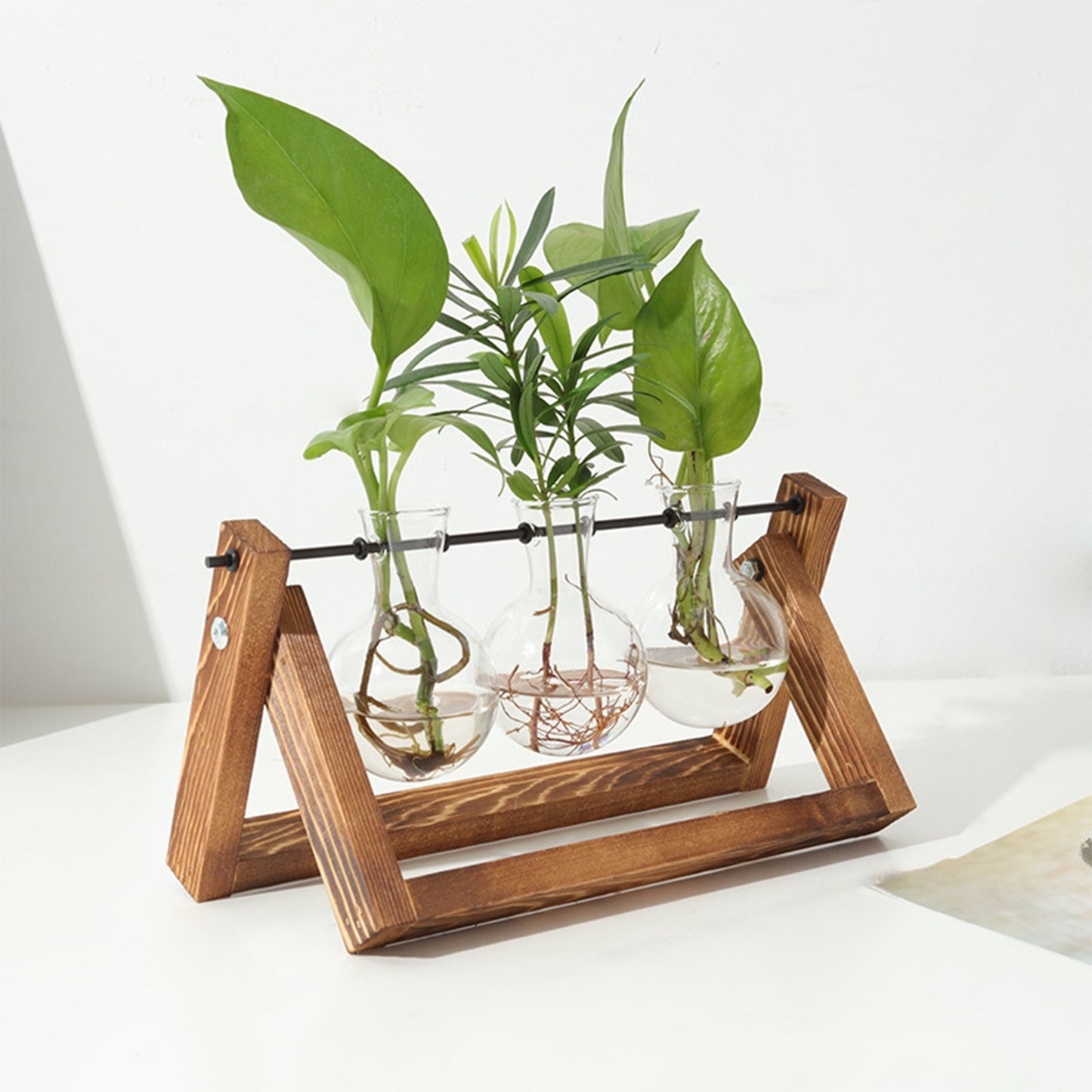 desktop glass planter bulb plant terrarium with wooden stand