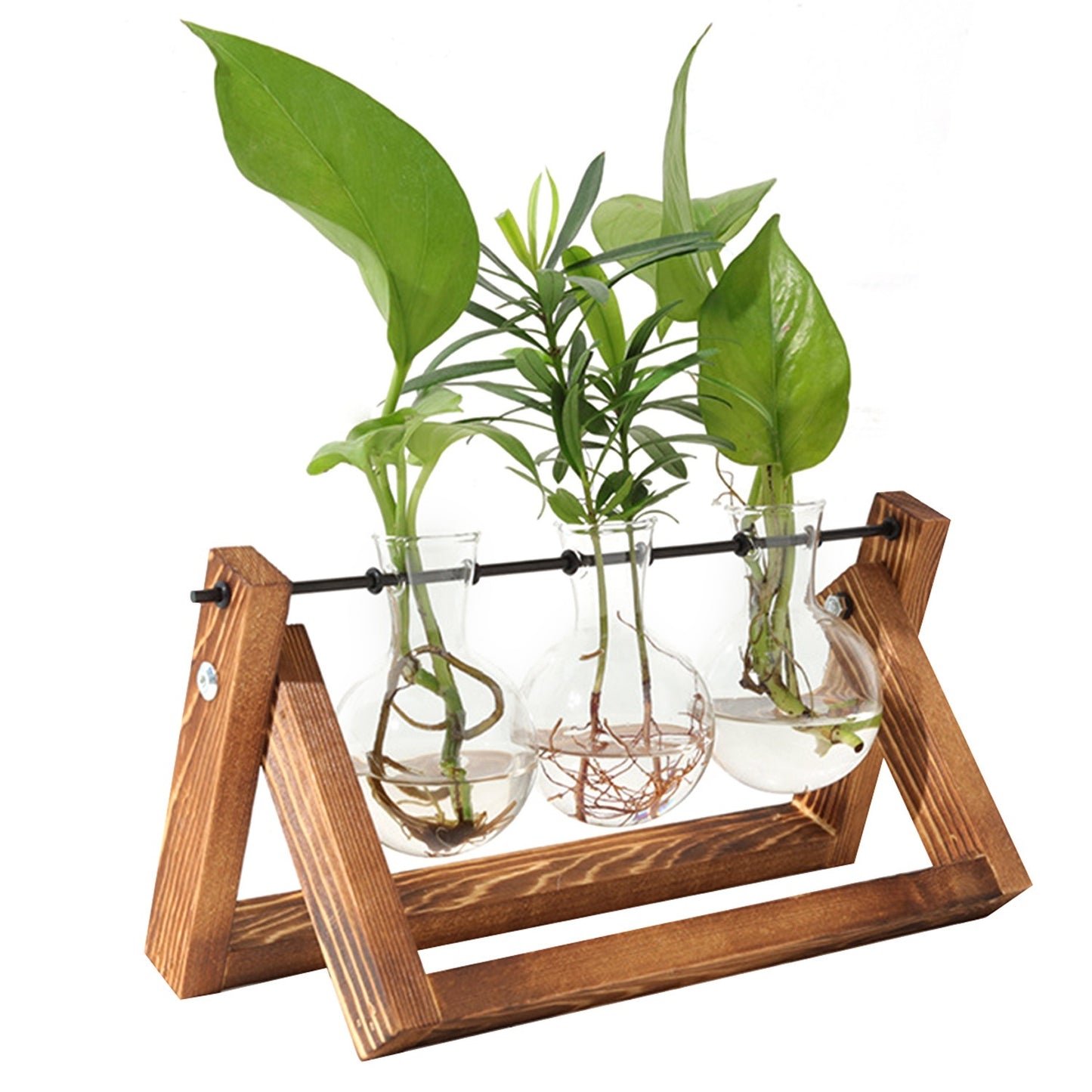 desktop glass planter bulb plant terrarium with wooden stand